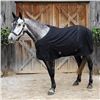 Image 1 : Horse Blanket