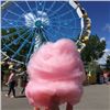 Image 3 : Four (4) Tickets to Calaway Park