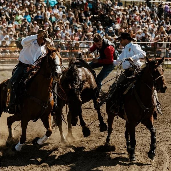Cochrane Lions Rodeo VIP Package