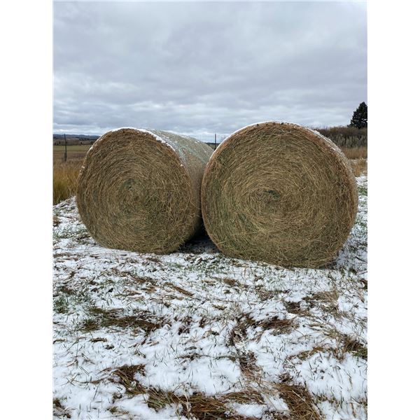 LIVE AUCTION ITEM – Two (2) Round Bales of Hay