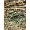 Image 3 : LIVE AUCTION ITEM – Two (2) Round Bales of Hay