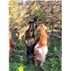 Image 4 : LIVE AUCTION ITEM – Targeted Goat Grazing