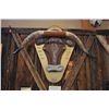 Image 1 : LIVE AUCTION ITEM – Engraved Longhorns