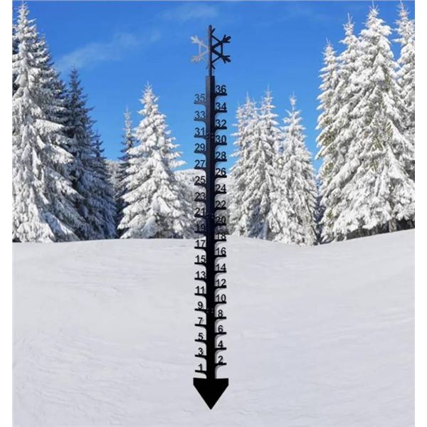 24-Inch Detachable Snow Gauge With Snowflake Design For Outdoor Use