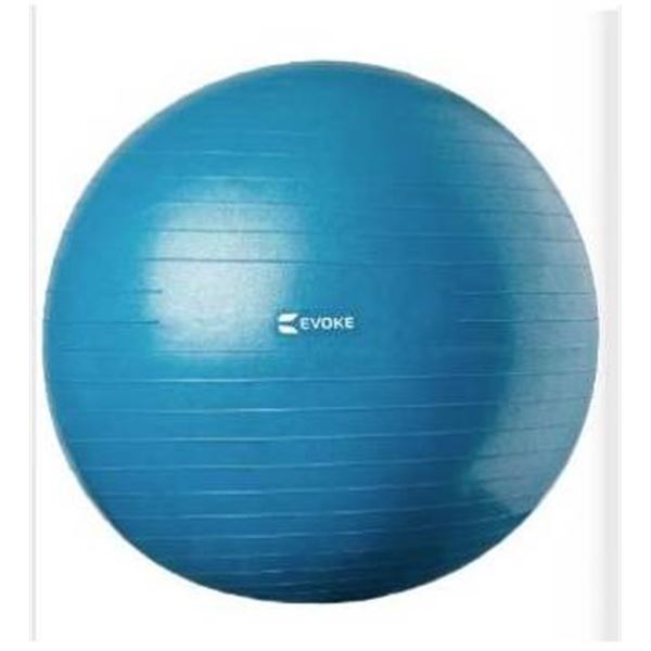 Evoke Guided Exercise Ball – 75cm with Guide