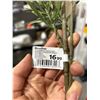 Image 3 : Lot of 12 Artificial Bamboo Stems, 25x109cm, Green