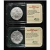 Image 1 : 2001, 02 AMERICAN SILVER EAGLES