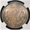Image 3 : 1884-CC MORGAN DOLLAR NGC MS63