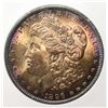 Image 2 : 1896 MORGAN DOLLAR GEM BU+