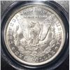 Image 3 : 1884-O MORGAN DOLLAR PCGS MS64