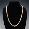 Image 1 : Simulated Hand Knotted Pearl Necklace