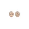 Image 1 : 14kt Dia and Morganite Halo Earrings