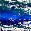 Image 2 : Untitled by Wyland Original