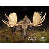 Image 1 : 10-Day All-Inclusive British Columbia Moose, Caribou, Wolf Combo Hunt with Kawdy Outfitters