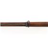 Image 8 : Spanish Modelo 1857/59 Percussion Rifle "Madrid 1861"