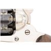 Image 11 : Nickel Plated Remington New Model Army Single Action Percussion Revolver