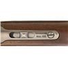 Image 11 : Winchester Model 1895 Theodore Roosevelt 150th Anniversary High Grade Lever Action Rifle