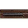 Image 24 : Stunning IVO Fabbri Best Quality Sporting Grade Over/Under Shotgun Two-Barrel Set