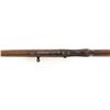 Image 7 : Pre-War Walther Model 2 Auto-Loading Bolt Action Rifle