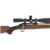 Image 17 : Custom Cooper of Montana Model 21 Varminter Single Shot Bolt Action Rifle