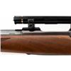 Image 13 : Ruger M77 Varmint Bolt Action Rifle