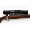 Image 9 : Ruger M77 Mark II Bolt Action Rifle