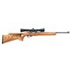 Image 1 : Custom Ruger 10-22 Semi-Auto Carbine