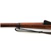 Image 22 : Swiss Model 1889 Schmidt Rubin Straight Pull Rifle