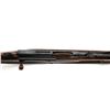 Image 9 : Swiss Model 1889 Schmidt Rubin Straight Pull Rifle