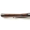 Image 17 : FN M1893 Mauser Bolt Action Rifle