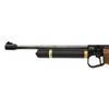 Image 9 : Walther CP5 Rapid Fire Semi-Automatic CO2 Air Pistol