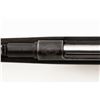 Image 3 : Argentine Model 1891 Mauser Bolt Action Carbine