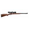 Image 1 : Marlin Model 60 Semi-Automatic Rifle