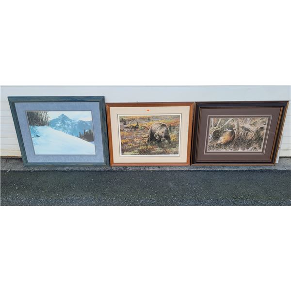 3 Framed Nature & Landscape Prints
