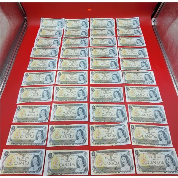 Full Sheet of 40 Canadian $1 Bills in Sequential Order (Hand Cut)