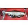 Image 1 : Decorative Coho Salmon Wall Plaque