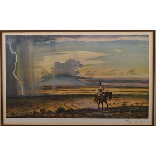NEW MEXICAN PRINT (PETER HURD)