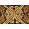 Image 6 : HOPI BASKETRY PLAQUE