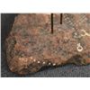 Image 15 : COPPER SCULPTURE