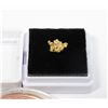 Image 3 : 0.6 GRAM PURE PLACER GOLD NUGGET