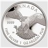 Image 1 : 1 OZ 2016 BIRDS OF PREY REVERSE PROOF SERIES: