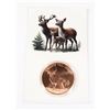 Image 1 : 1 OZ DEER COPPER ROUND IN CAPSULE WITH CARD