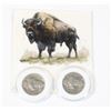 Image 1 : 2 1930 BUFFALO NICKELS- USA- NOT SILVER, WITH CARD
