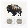 Image 1 : 2 1936 BUFFALO NICKELS- USA- NOT SILVER, WITH CARD