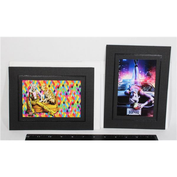 2 HARLEY QUINN PICTURES