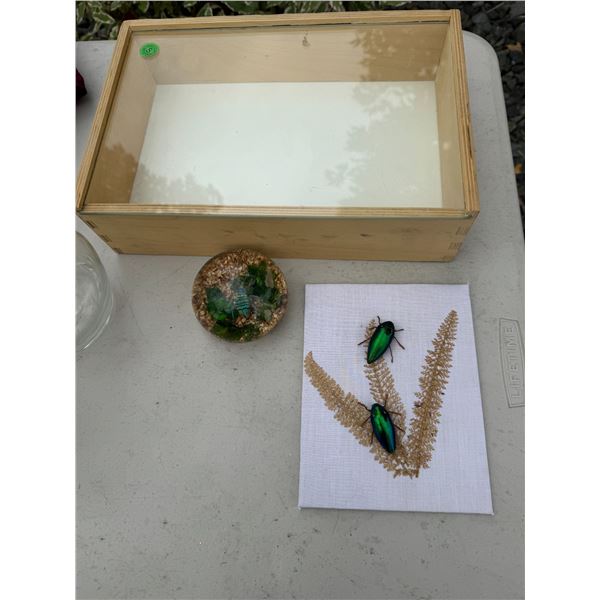 Paperweight handcrafted in Canada and other decor with display box