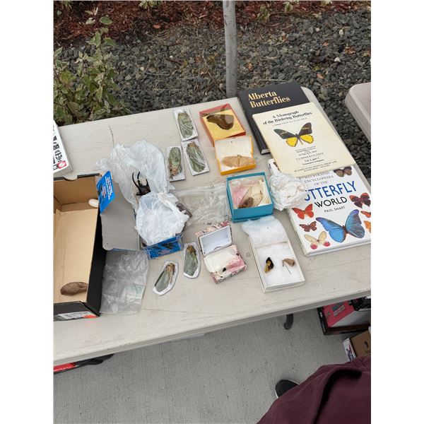 Butterfly books and assorted insects