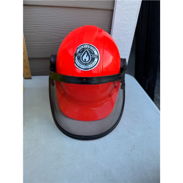 Helmet with ear protection