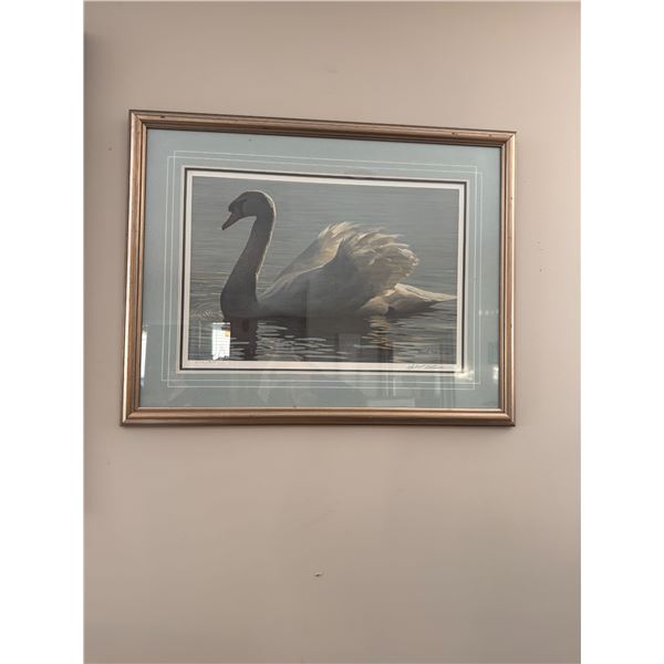 Robert Bateman Swan 26 x 33