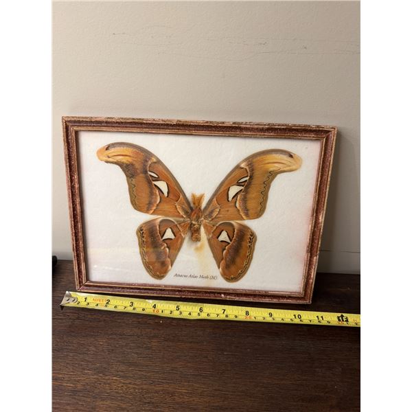 Attacks Atlas Milith